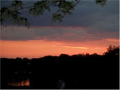 In the summer the trees on the polo field hide the river view 