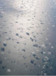 Clouds over Lake Erie, October 2006
